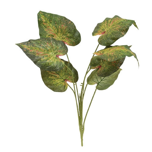 Perilla Leaf Speckled Bush - 24" Dark Green
