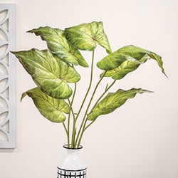 Perilla Leaf Speckled Bush - 24" Light Green