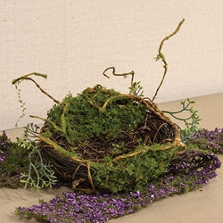 Mossy Twig Bird Nest - 6"