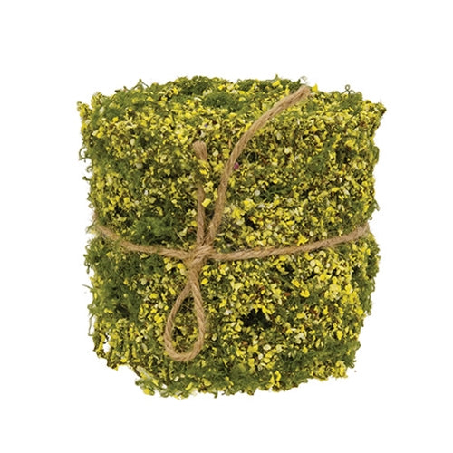 New Growth Moss Ribbon - 3" x 6 Ft