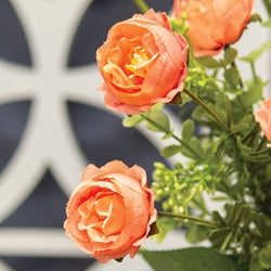 Eucalyptus Rose Spray - 19" - Peach