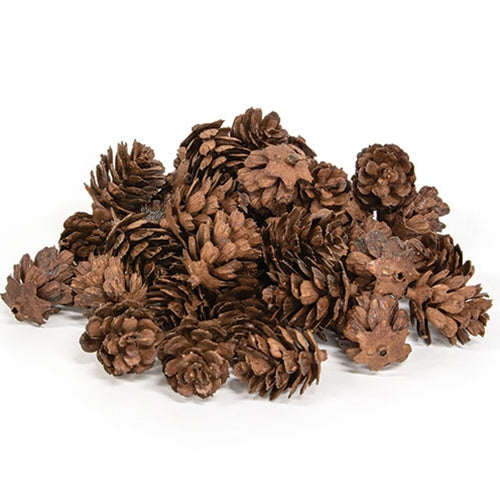 36/Pkg - Natural Mini Pinecones