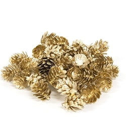 36/Pkg - Golden Mini Pinecones