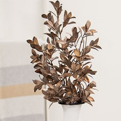 Gleaming Bronze Fittonia Spray - 27"
