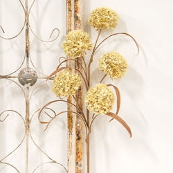 Cream Allium Spray - 24"H