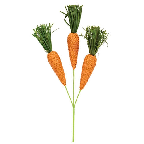 Grassy Carrot Trio Pick - 12.75"