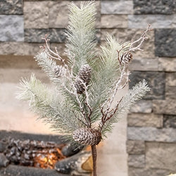 Snowy Bristle Pine & Boughs Pick - 16.5"