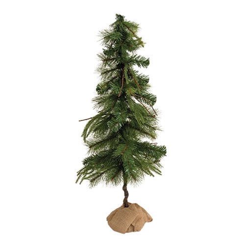 Mixed Northern Pine Tree With Burlap Base - 3 Ft.