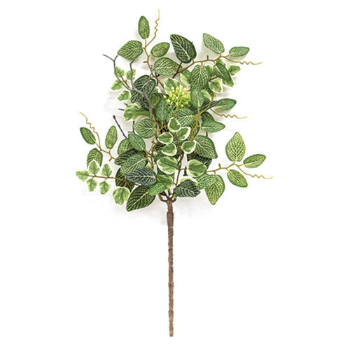 Mixed Ivy & Vine Spray - 20"