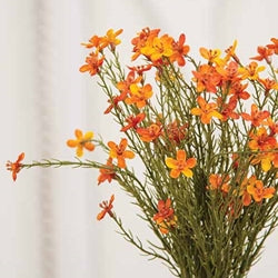 Bittersweet Star Flower Bush 15.5"H