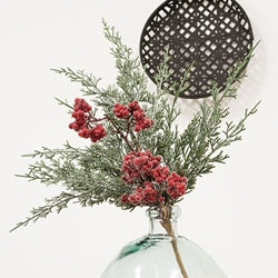 Graceful Cedar Berry Bush 19"