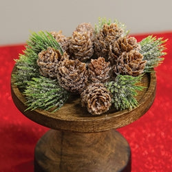 Icy Bristle Pine & Cone Taper Ring - 1"