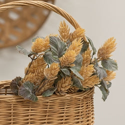 Dusty Beige Hops Bush - 14"