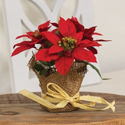 Winter Party Mini Poinsettia in Burlap Pot - 7"H