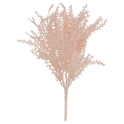 Pink Icy Wonderland Astilbe Bush - 14.5"H