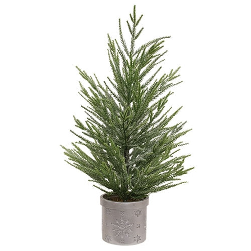 Potted Winter Dreams Fine Pine Tree - 24"H