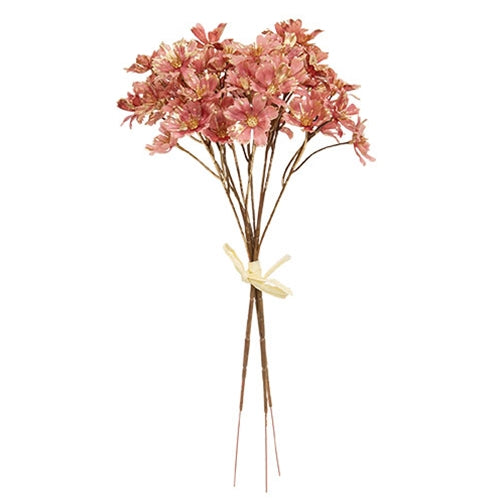 Golden Brushed Cosmos Bundle - 14" - Blush