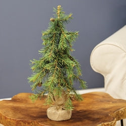 Luxemburg Pine Tree With Burlap Base - 18"