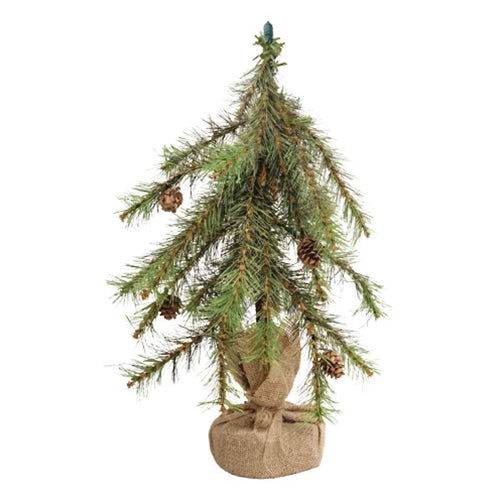 Luxemburg Pine Tree With Burlap Base - 18"