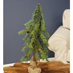 Luxemburg Pine Tree With Burlap Base - 2 Ft.