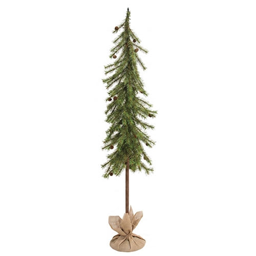 Luxemburg Pine Tree With Burlap Base - 5 Ft.