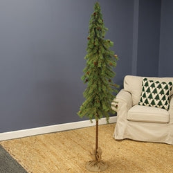 Luxemburg Pine Tree With Burlap Base - 6 Ft.