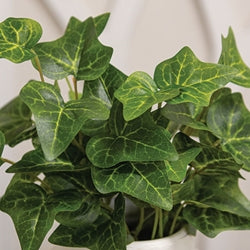 Lush Ivy Bush - 13"