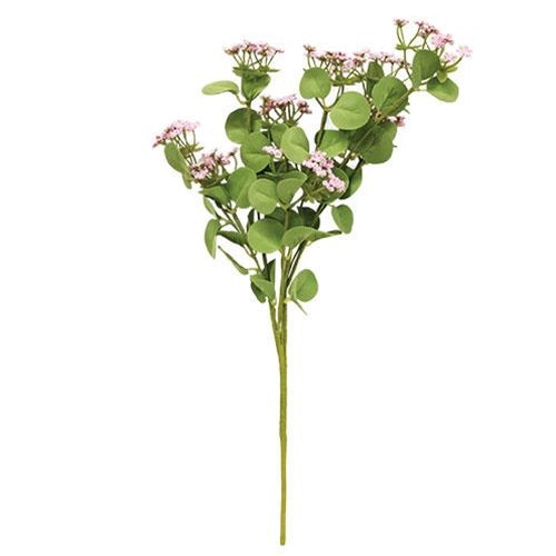 Queen Ann's Lace Spray Pink