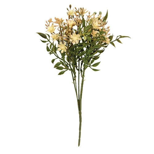 Ivory Fall Lilac Bush - 12"