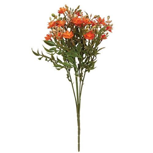 Orange Fall Lilac Bush - 12"