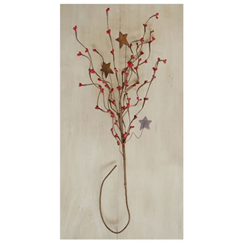 Red Pip & Star Spray 24"