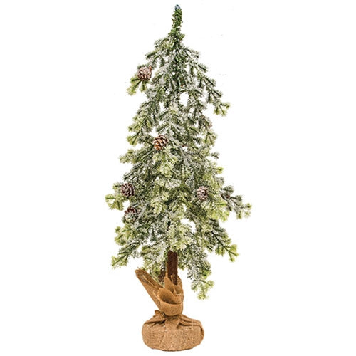 Frosted Norfolk Pine Tree - 2ft