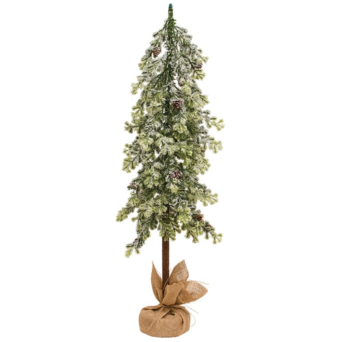 Frosted Norfolk Pine Tree - 3ft