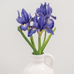 Blue Iris Bouquet - 14.5"