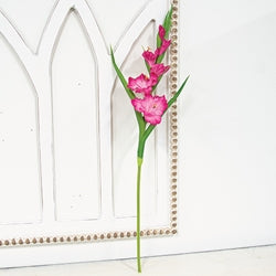 Pink Gladiolus Stem - 27"