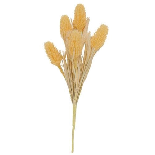 Amber Waves Bush