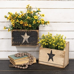 Rustic Wood Flower Bin w/Painted Star - 10"L x 8.5"H - 2 Asstd.