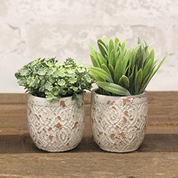 Artificial Succulent in Distressed Cement Pot 2 Asstd.