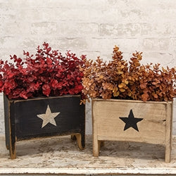 Rustic Wood Star Painted Planter Bin - 2 Asstd.