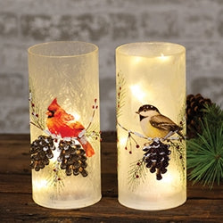 LED Frosted Winter Bird Glass Pillar 2 Asstd.