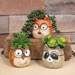 Resin Spectacled Garden Friend Planter - 3 Asstd.