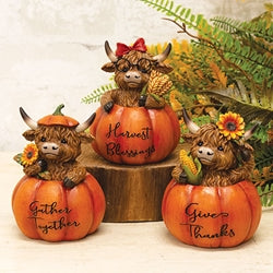 Resin Harvest Highland in Pumpkin - 3 Asstd.
