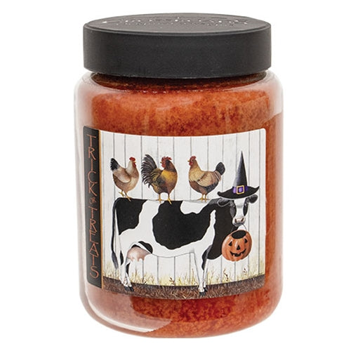 Trick Or Treats Farm Buddies Orange Clove Jar Candle - 26oz.