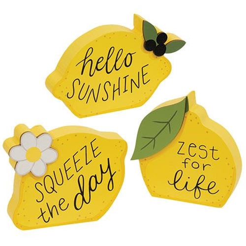 3/Set Lemon Sayings Chunky Sitters