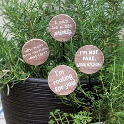 I'm Rooting For You Houseplant Poke 4 Asstd.