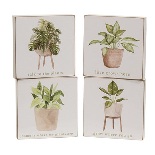 Love Grows Here House Plant Square Block 4 Asstd.