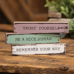 Remember Your Why Mini Stick - 3 Asstd.