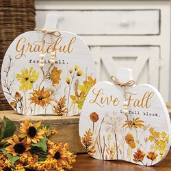 Golden Fall Wildflower Wooden Pumpkin Sitter - 2 Asstd.