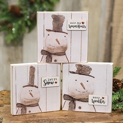 Snowy Word Tag Stitched Snowman Block - 3 Asstd.