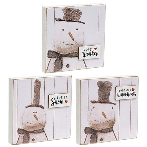Snowy Word Tag Stitched Snowman Block - 3 Asstd.